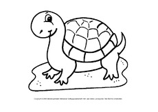 Schildkröte.pdf